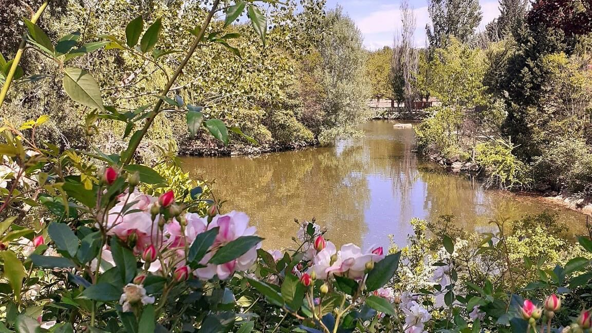lac-promenade-famille-aire-jeux-d eau-arche-de-meo-molleges